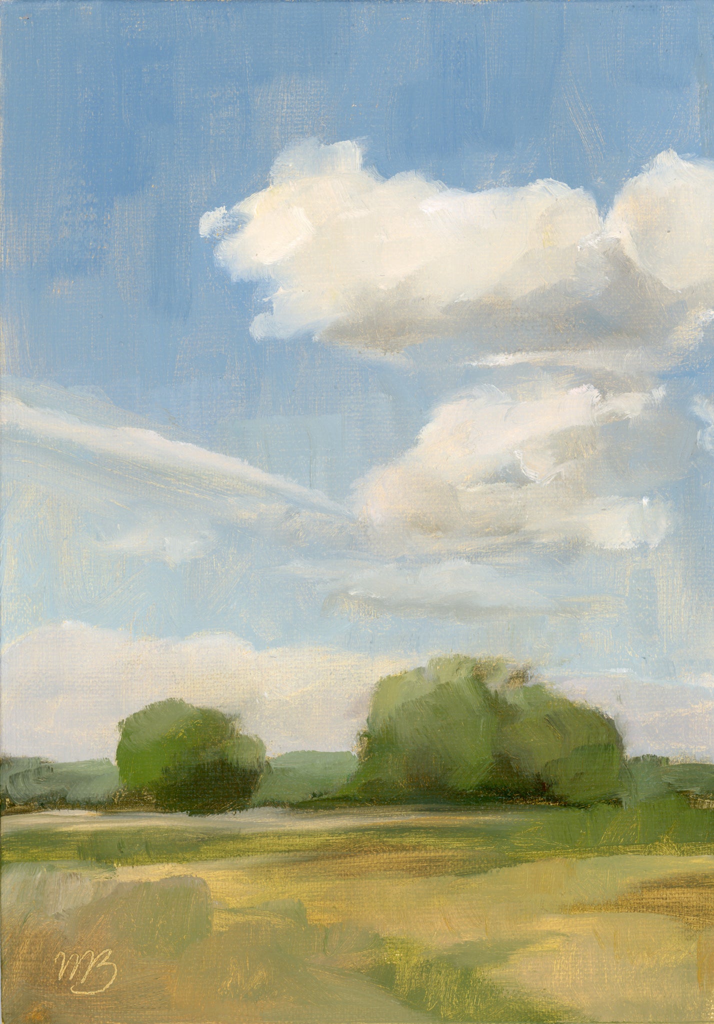 Airplane Fluff - Print