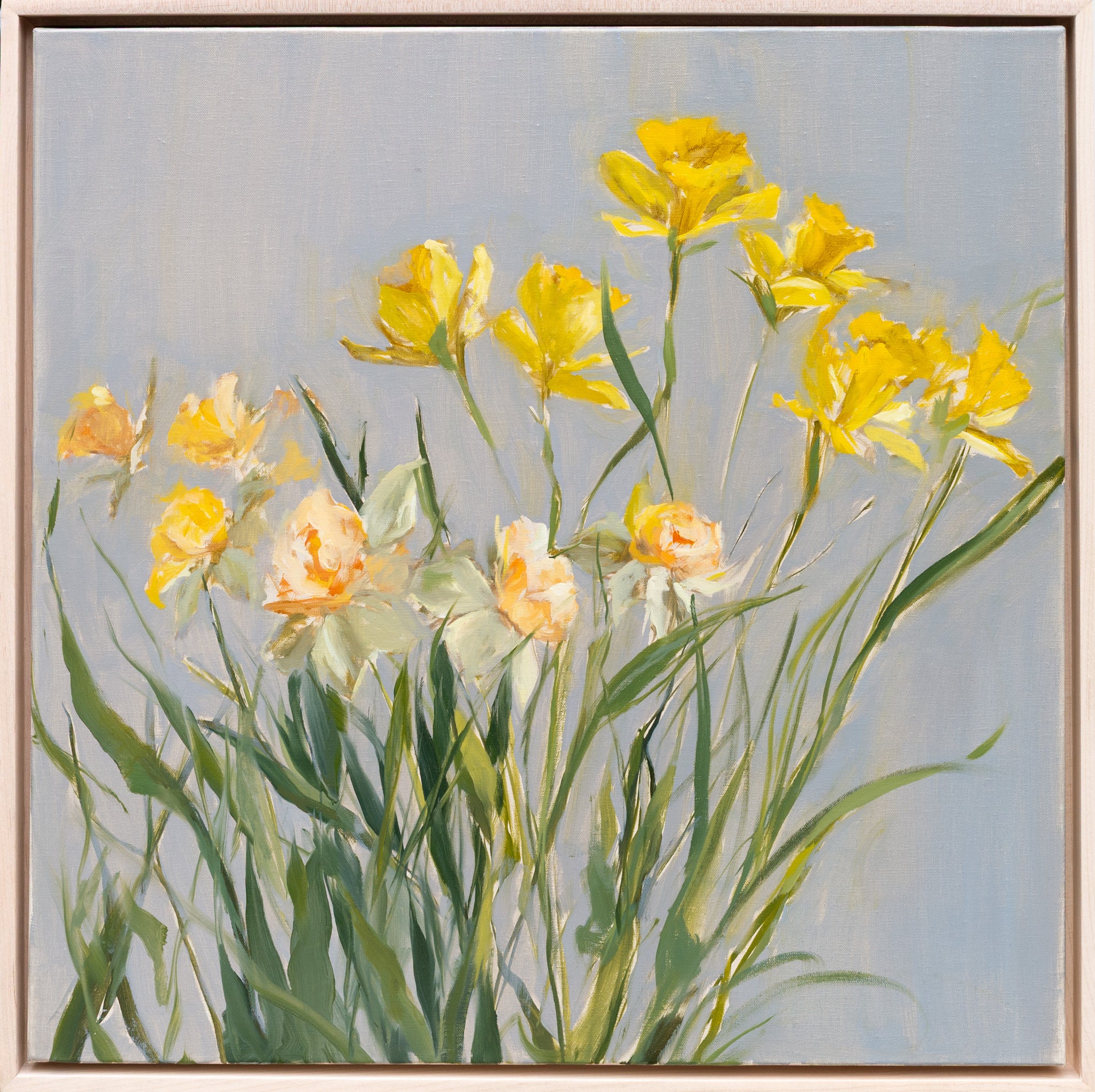 Daffies - 20x20" Original Oil Painting