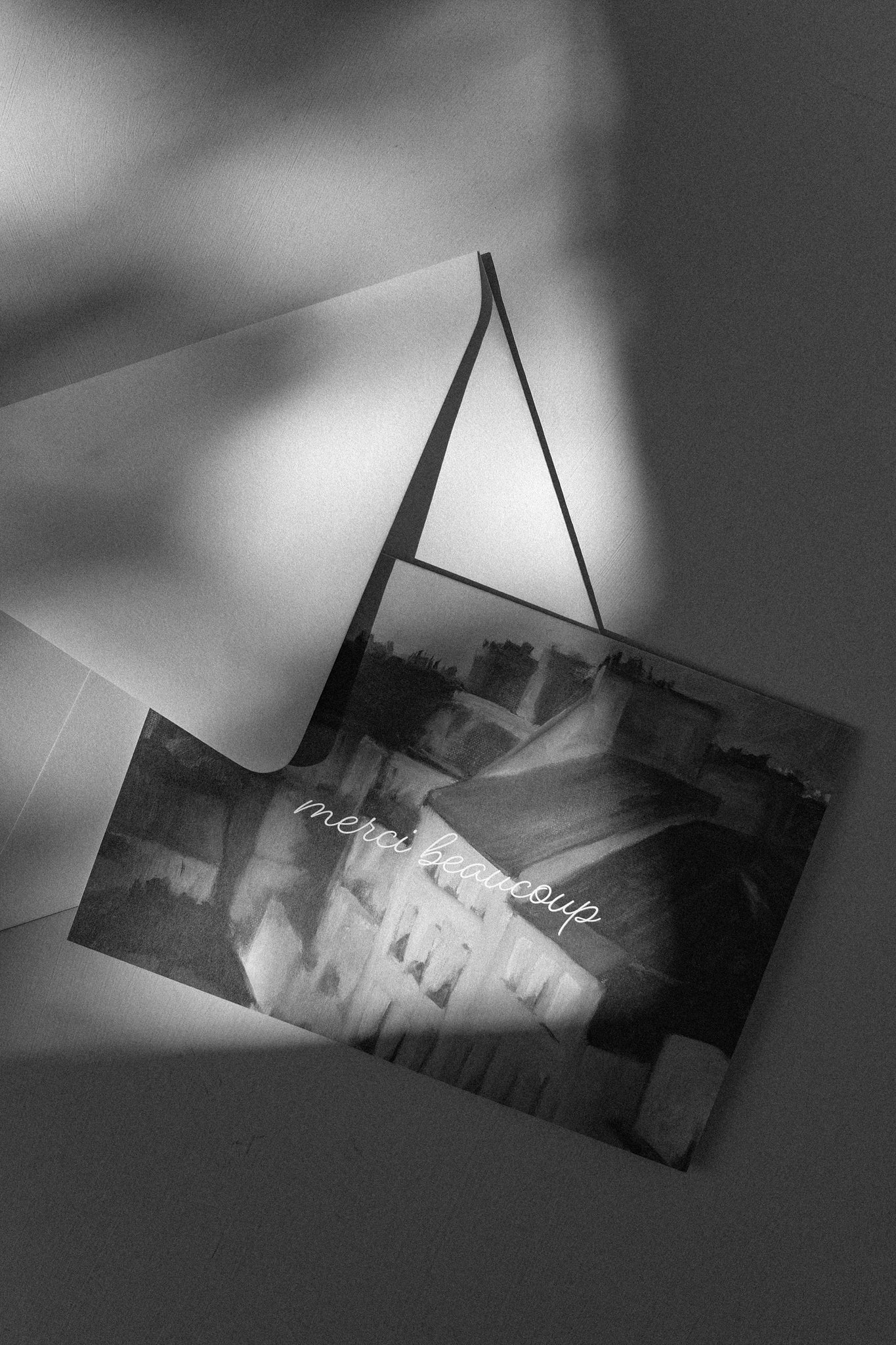 Greeting Card - Merci Beaucoup