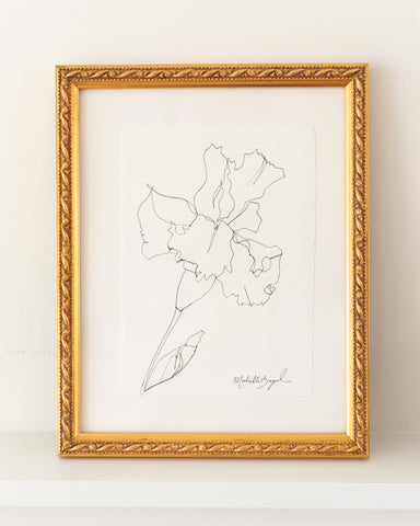 Custom Framed Sketch - The Iris